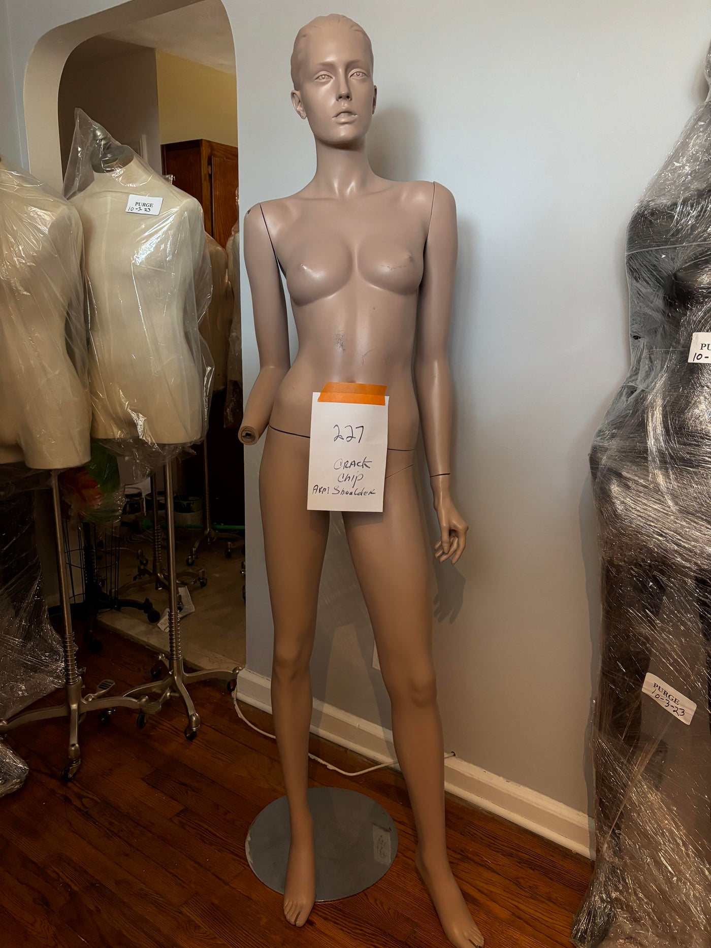 Female Adel Rootstein Mannequin #227