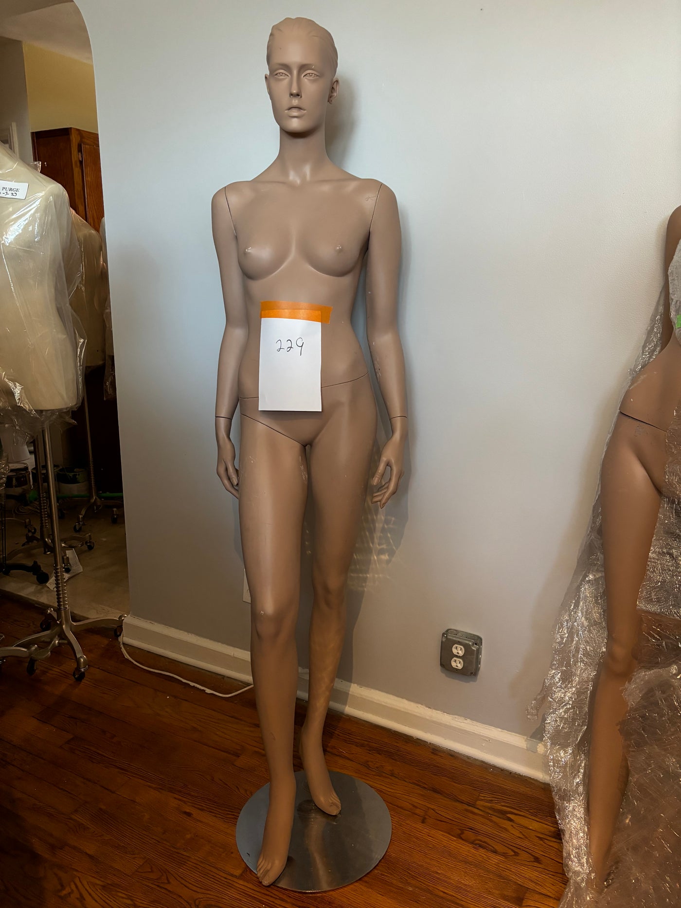 Female Adel Rootstein Mannequin #229