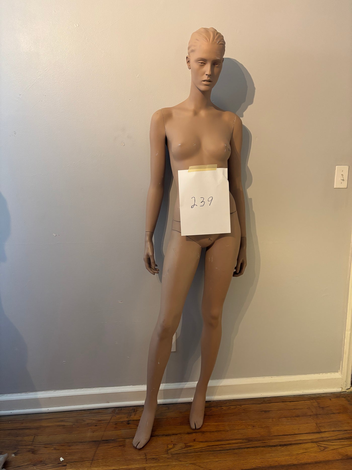 Female Adel Rootstein Mannequin #239