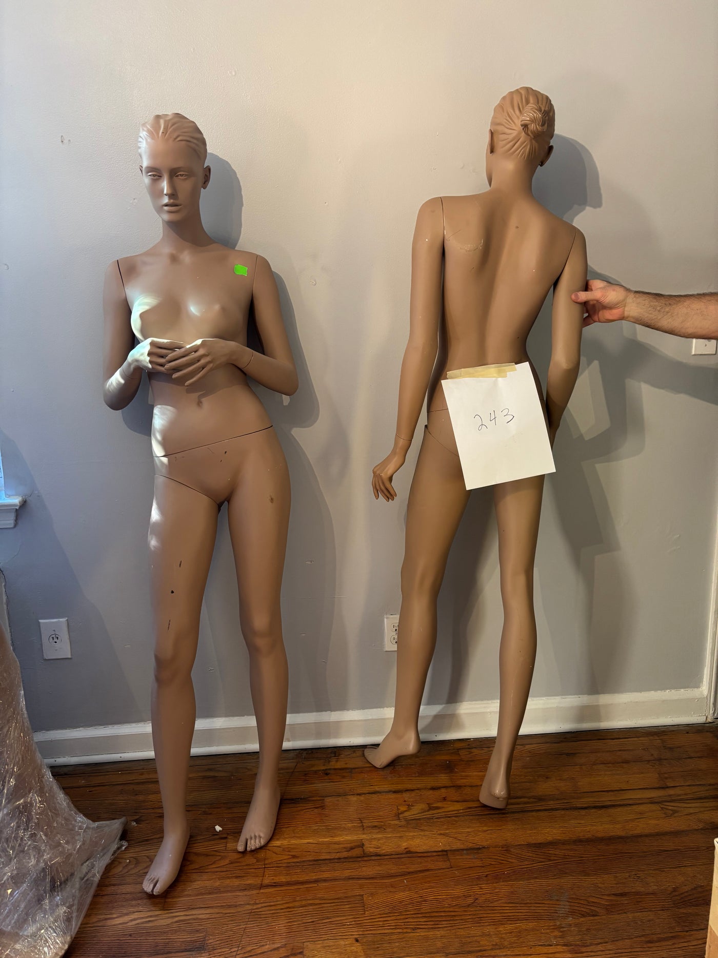 Female Adel Rootstein Mannequin #243