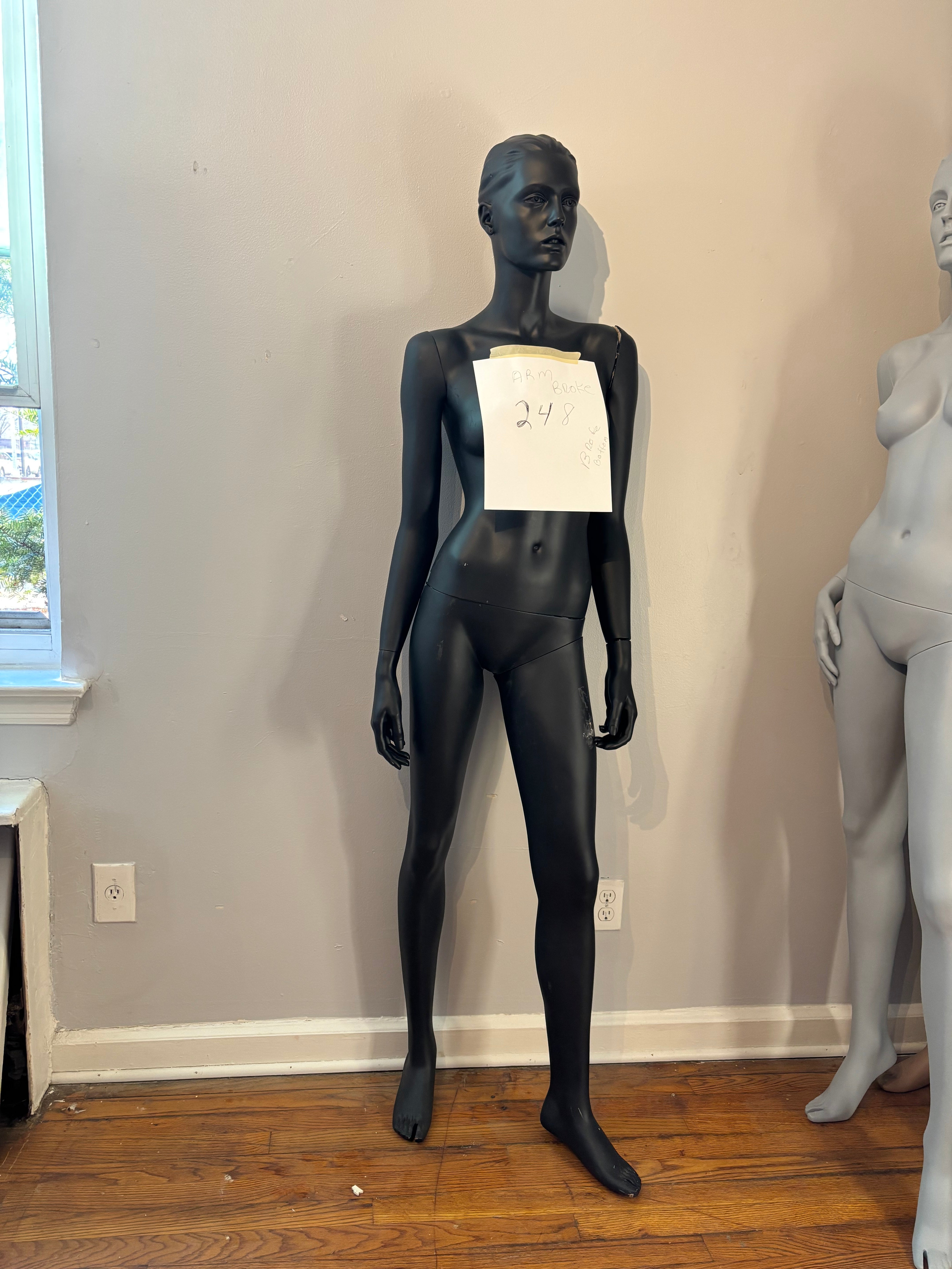 Female Adel Rootstein Mannequin #248