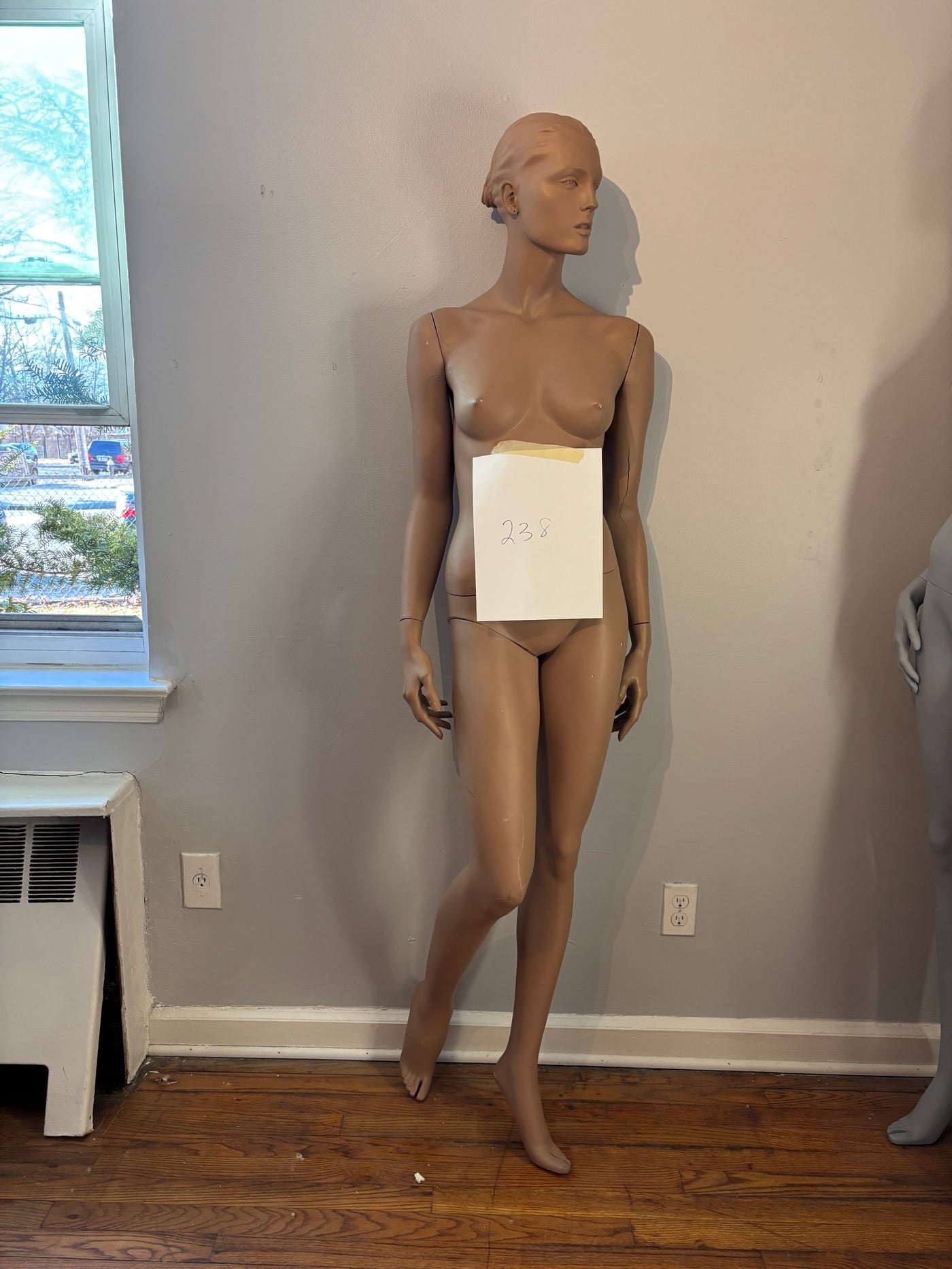 Female Adel Rootstein Mannequin #238