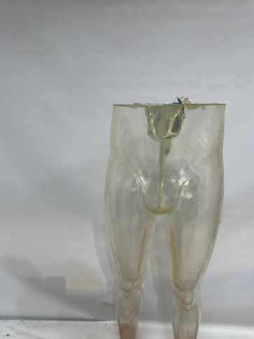 Used male mannequin legs - clear