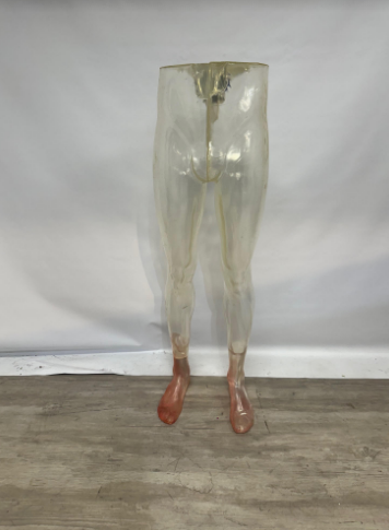 Used male mannequin legs - clear